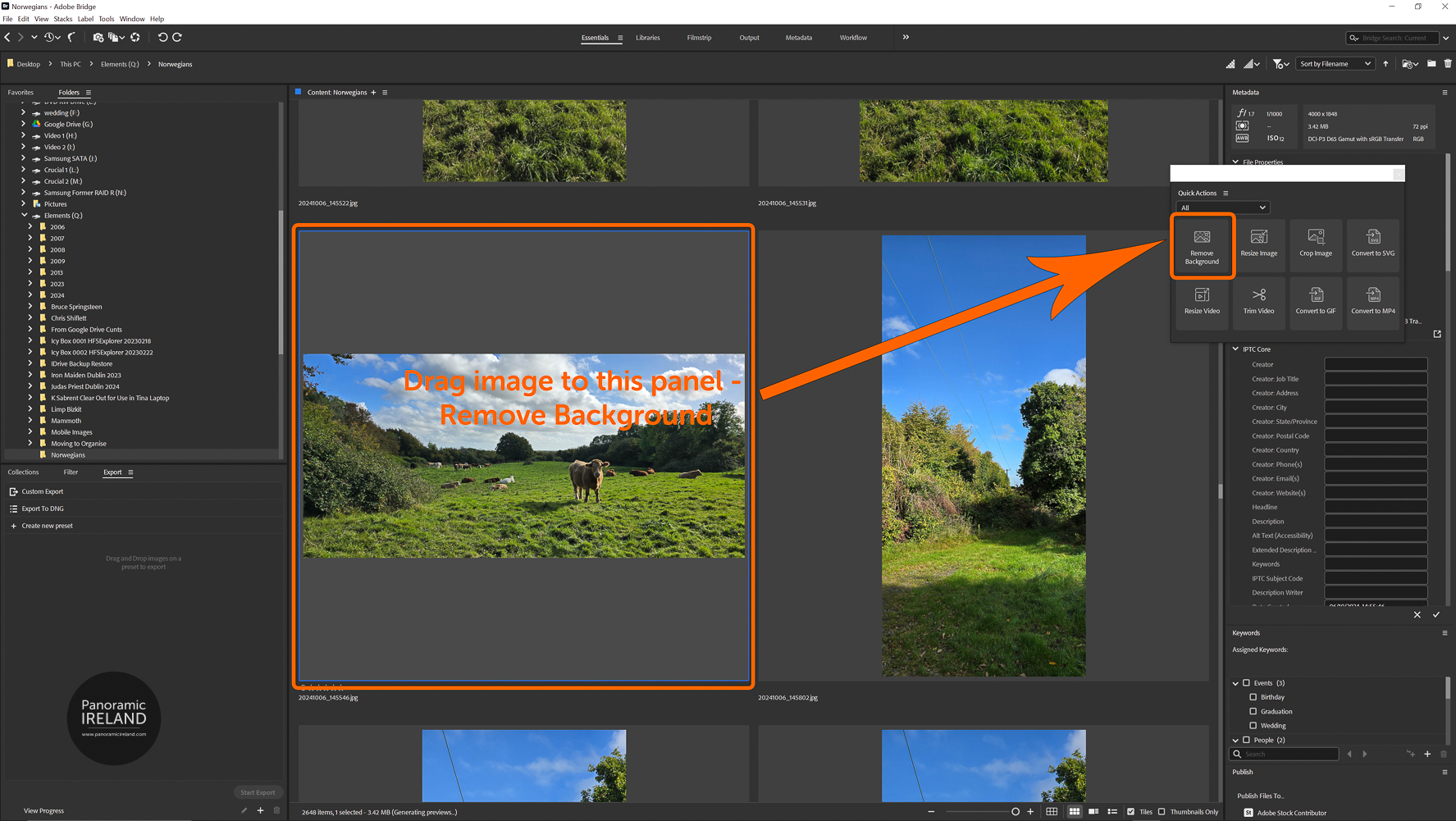 Drag Image to Remove Background Tile in Quick Actions, Adobe Bridge